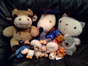 My Stuffed Toy Collection
