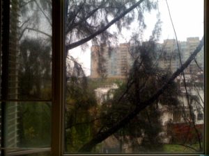 Studio Window on a Rainy Sunday Afternoon