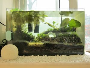 Aquarium @Home